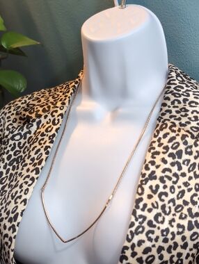 Charming Charlie Rose Gold V-Point Long Necklace